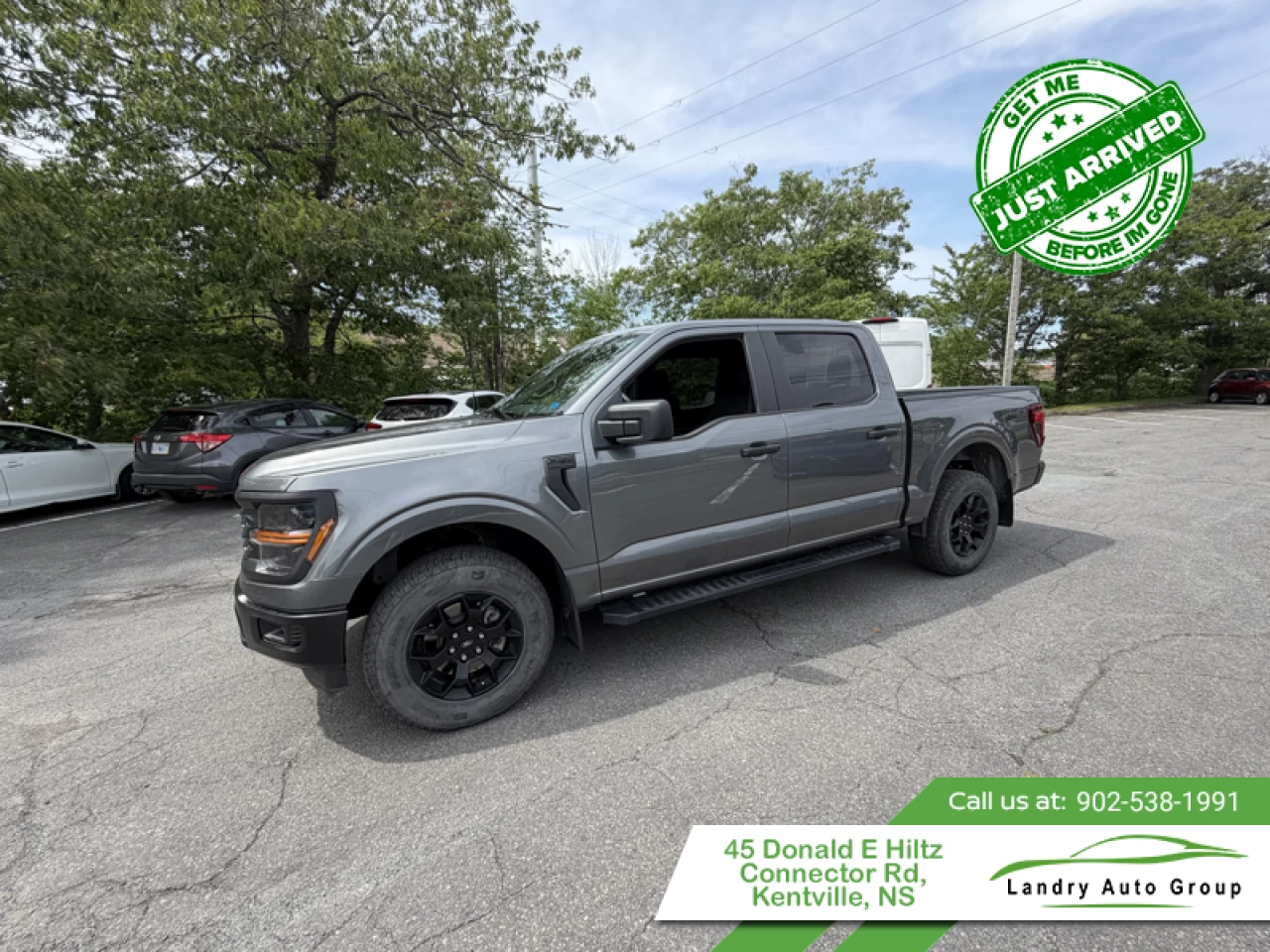 2024 Ford F-150 STX Main Image